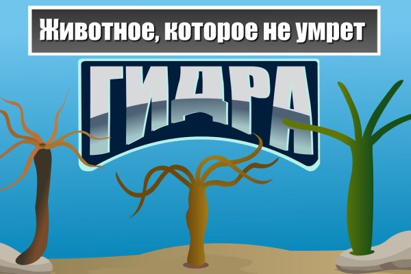 Ссылка для входа на сайт kraken